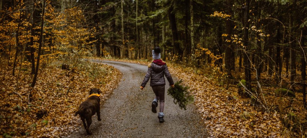 Hund und Mädchen rennen durch den Wald